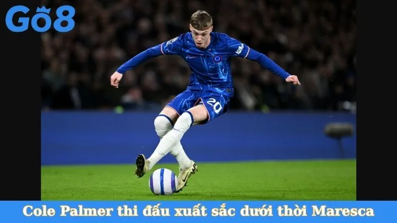 Cole Palmer thi đấu xuất sắc dưới thời Maresca