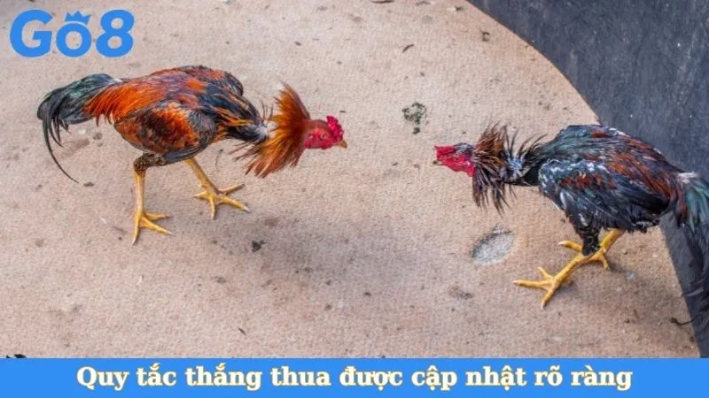 Quy tắc thắng thua được cập nhật rõ ràng