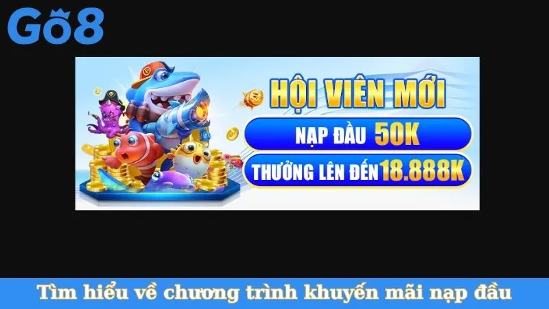 Tìm hiểu về chương trình khuyến mãi nạp đầu